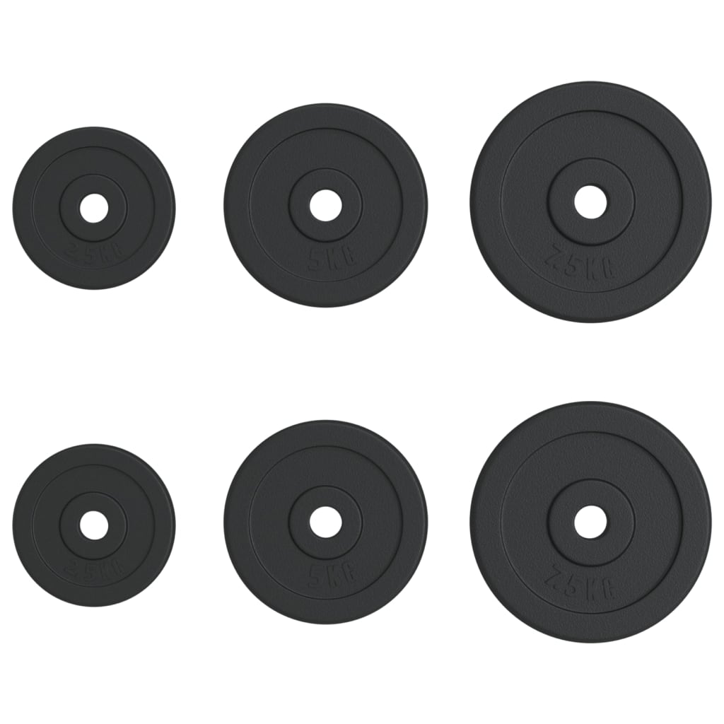 vidaXL Plaques de poids 6 pcs 30 kg Fonte