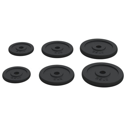 vidaXL Plaques de poids 6 pcs 30 kg Fonte