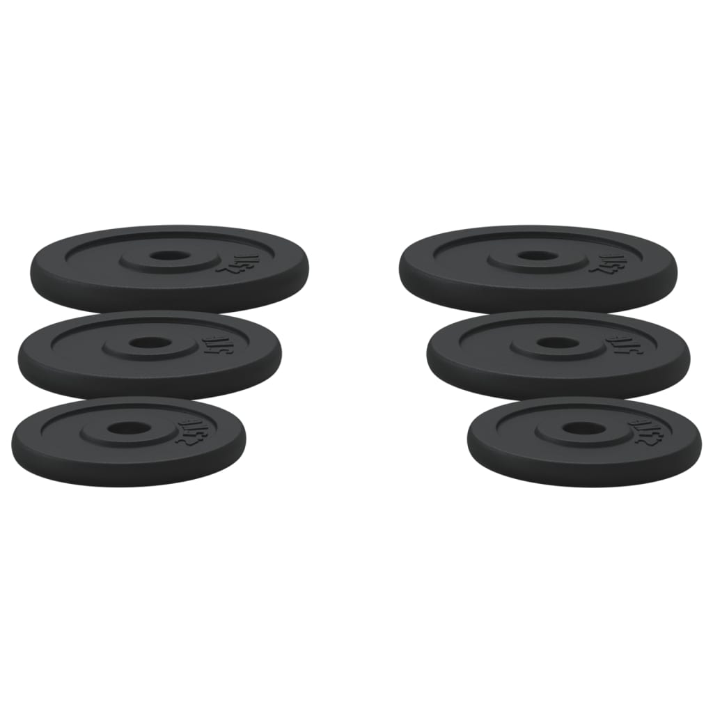 vidaXL Plaques de poids 6 pcs 30 kg Fonte