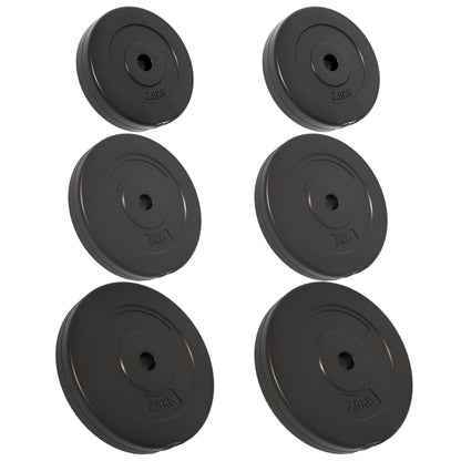 vidaXL Plaques de poids 6 pcs 30 kg Béton