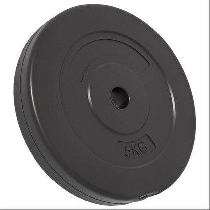vidaXL Plaques de poids 6 pcs 30 kg Béton