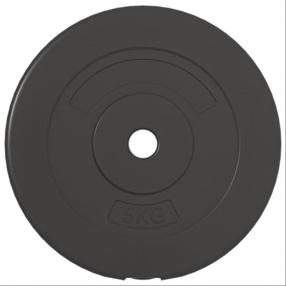 vidaXL Plaques de poids 6 pcs 30 kg Béton