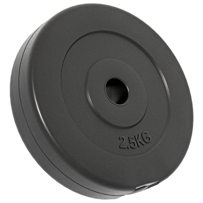vidaXL Plaques de poids 6 pcs 30 kg Béton