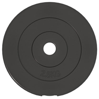 vidaXL Plaques de poids 6 pcs 30 kg Béton