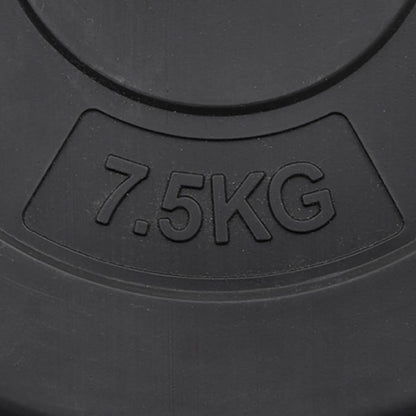 vidaXL Plaques de poids 6 pcs 30 kg Béton