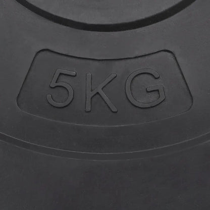 vidaXL Plaques de poids 6 pcs 30 kg Béton
