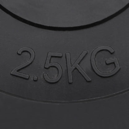 vidaXL Plaques de poids 6 pcs 30 kg Béton