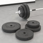 vidaXL Plaques de poids 6 pcs 30 kg Béton