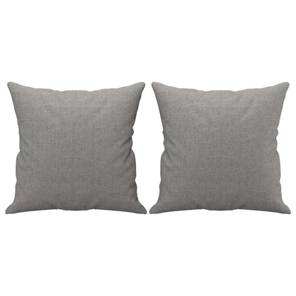 vidaXL Coussins décoratifs 2 pcs Gris clair 40x40 cm Tissu