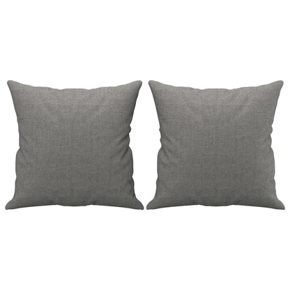 vidaXL Coussins décoratifs 2 pcs Gris foncé 40x40 cm Tissu
