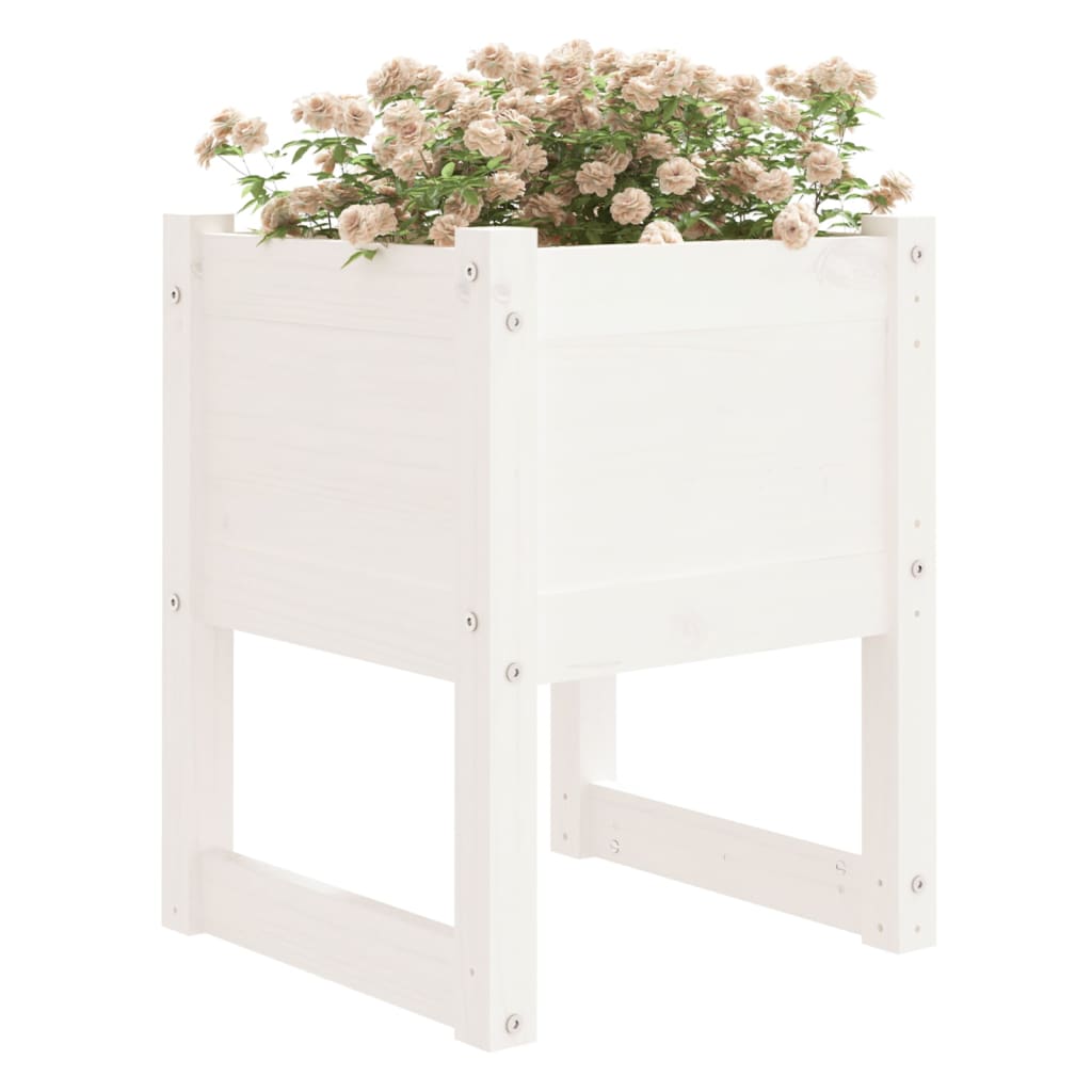 vidaXL Jardinières 2 pcs Blanc 40x40x52,5 cm Bois massif de pin