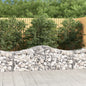 vidaXL Paniers à gabions arqués 3 pcs 200x50x60/80 cm Fer galvanisé