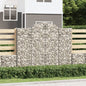 vidaXL Paniers à gabions arqués 15 pcs 200x50x160/180 cm Fer galvanisé