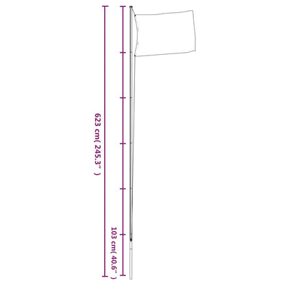 vidaXL Mât de drapeau sectionnel Argenté 6,23 m Aluminium