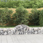 vidaXL Panier de gabions arqué 200x50x40/60 cm Fer galvanisé
