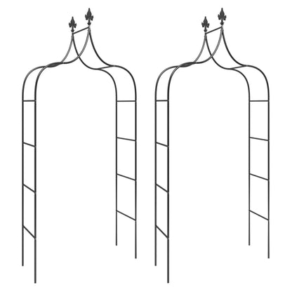 vidaXL Arches de jardin 2 pcs Noir 120x38x260 cm Acier