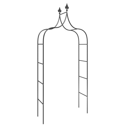 vidaXL Arches de jardin 2 pcs Noir 120x38x260 cm Acier