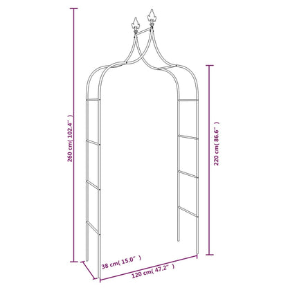 vidaXL Arches de jardin 2 pcs Noir 120x38x260 cm Acier