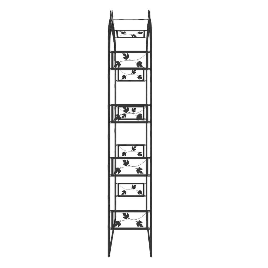 vidaXL Arche de jardin Noir 116x45x240 cm Acier