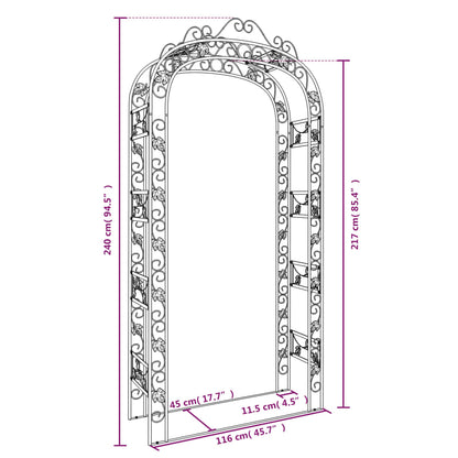 vidaXL Arche de jardin Noir 116x45x240 cm Acier