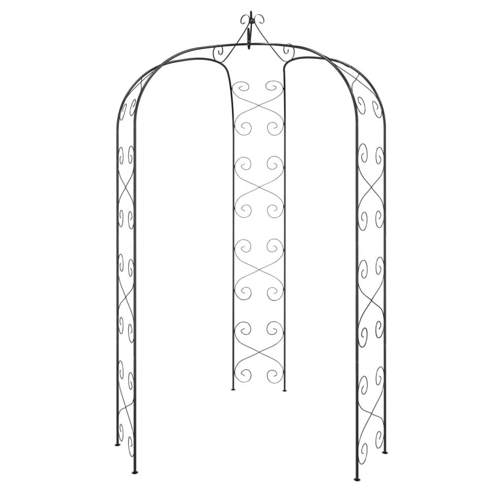 vidaXL Arche de jardin Noir Ø180x255 cm Acier