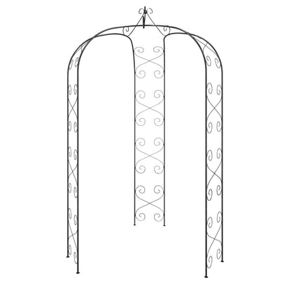 vidaXL Arche de jardin Noir Ø180x255 cm Acier