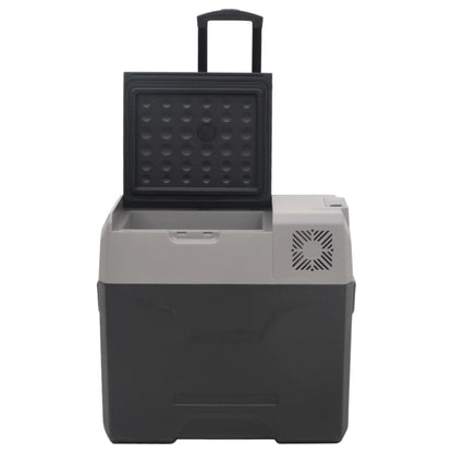 vidaXL Glacière avec roue et adaptateur noir et gris 50L polypropylène