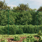 vidaXL Clôture en treillis métallique vert 2,2x25 m acier galvanisé