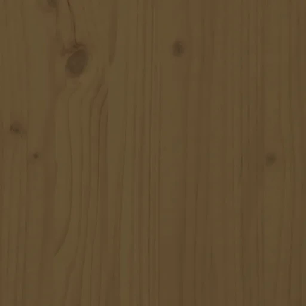 vidaXL Tables à sable 2 pcs marron miel bois de pin massif