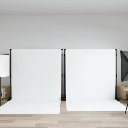 vidaXL Supports de toile de fond 2 pcs noir 254x243 cm acier