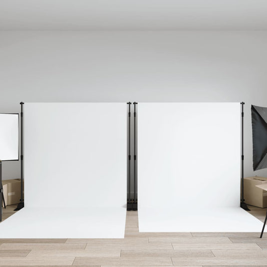 vidaXL Supports de toile de fond 2 pcs noir 254x243 cm acier