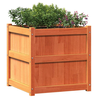vidaXL Jardinière cire marron 60x60x60 cm bois de pin massif