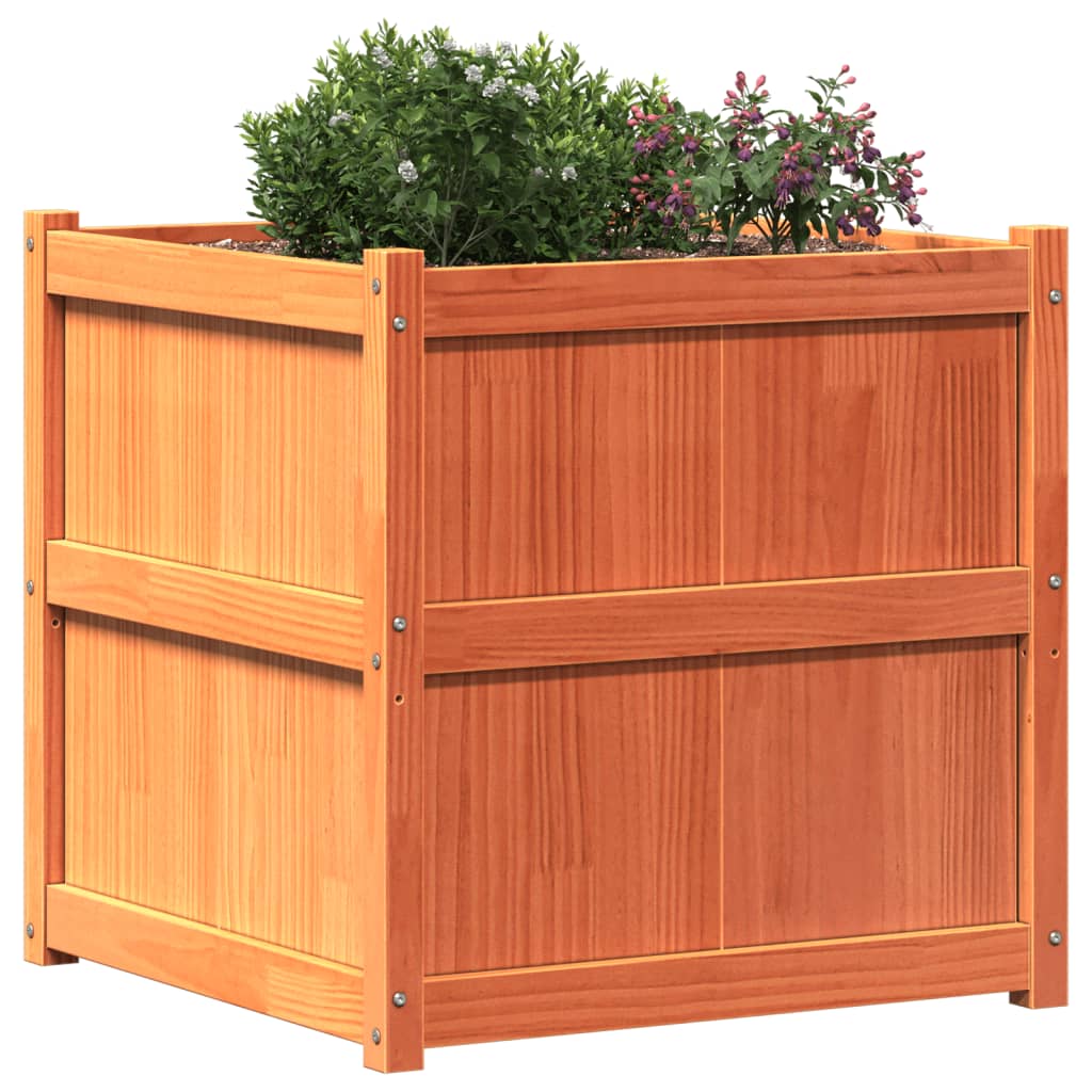 vidaXL Jardinière cire marron 70x70x70 cm bois de pin massif