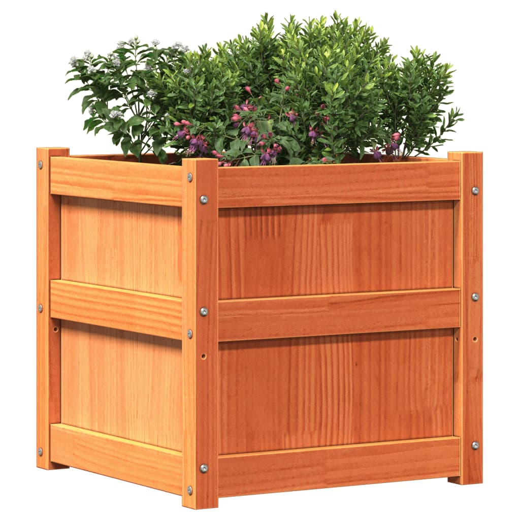 vidaXL Jardinière cire marron 50x50x50 cm bois de pin massif