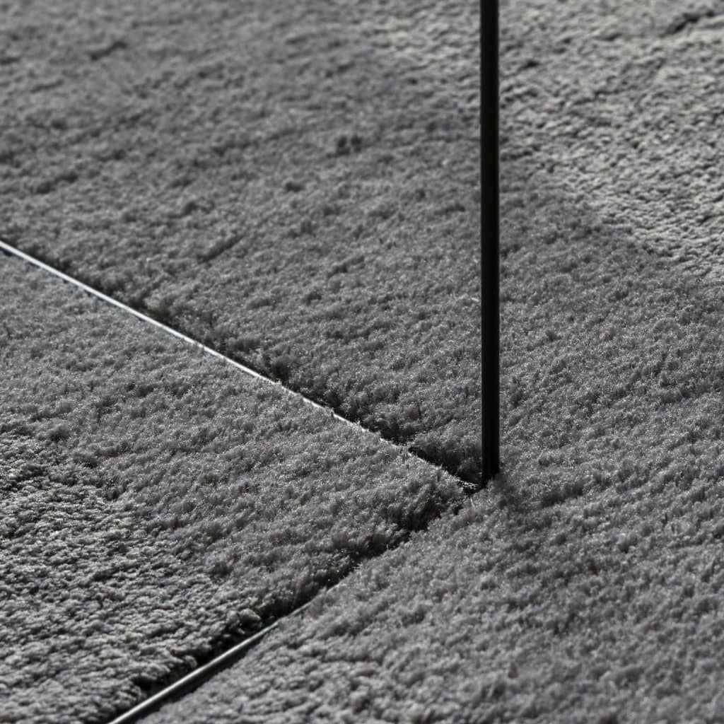 vidaXL Tapis HUARTE à poils courts doux et lavable anthracite 80x250cm