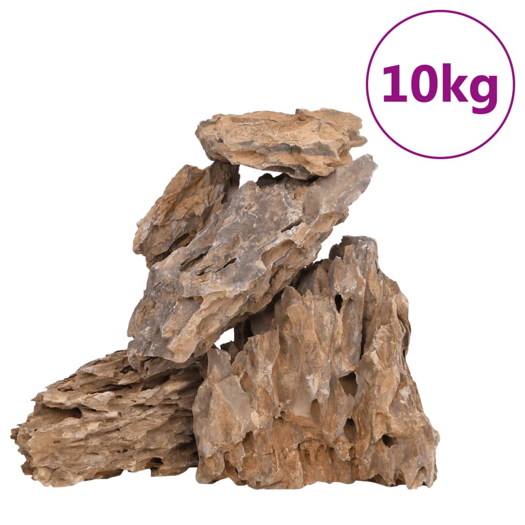 vidaXL Pierres du dragon 10 kg mélange de couleurs 10-30 cm